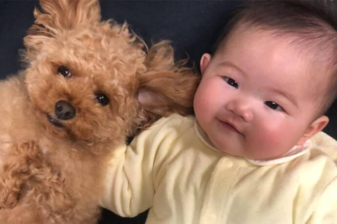 赤ちゃんと犬の同居生活で幸せ倍増 実体験から赤ちゃんと犬の同居をおすすめする理由